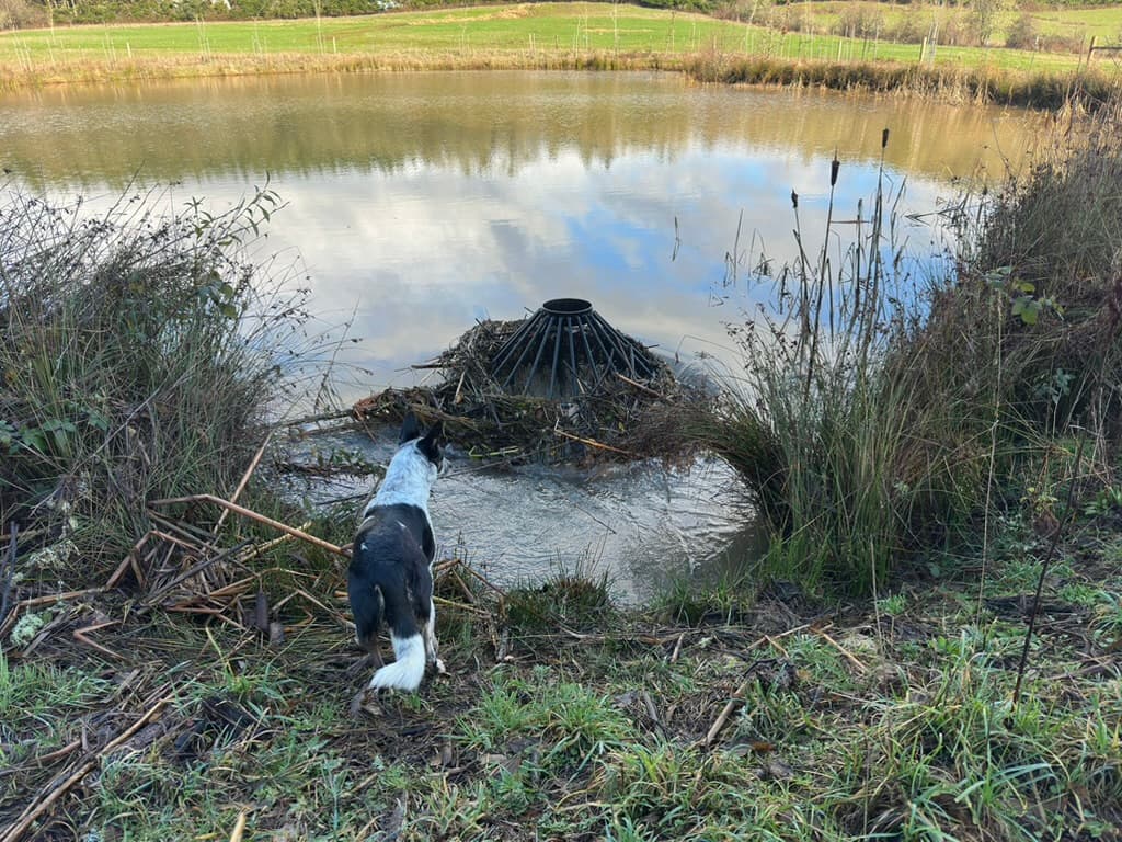 Culvert protection